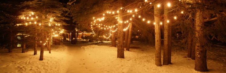 75854707_4558d71552_o